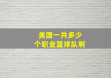 美国一共多少个职业篮球队啊