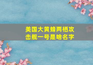 美国大黄蜂两栖攻击舰一号是啥名字