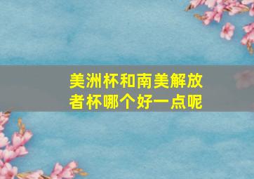 美洲杯和南美解放者杯哪个好一点呢