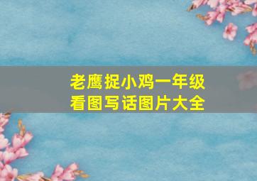 老鹰捉小鸡一年级看图写话图片大全