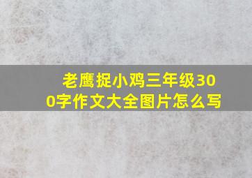 老鹰捉小鸡三年级300字作文大全图片怎么写