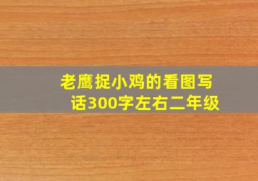 老鹰捉小鸡的看图写话300字左右二年级