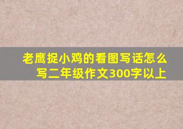 老鹰捉小鸡的看图写话怎么写二年级作文300字以上