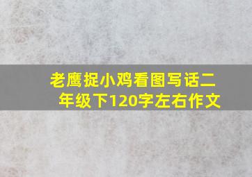 老鹰捉小鸡看图写话二年级下120字左右作文