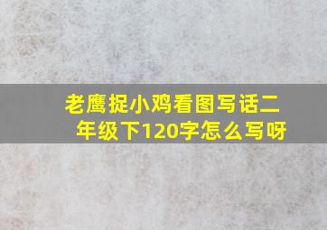 老鹰捉小鸡看图写话二年级下120字怎么写呀