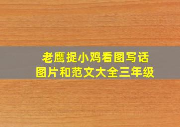 老鹰捉小鸡看图写话图片和范文大全三年级