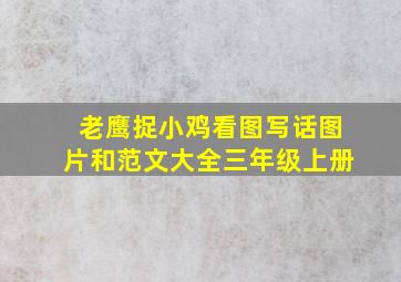 老鹰捉小鸡看图写话图片和范文大全三年级上册