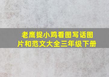 老鹰捉小鸡看图写话图片和范文大全三年级下册