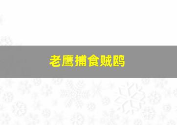 老鹰捕食贼鸥