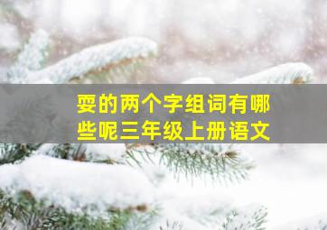 耍的两个字组词有哪些呢三年级上册语文