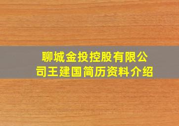 聊城金投控股有限公司王建国简历资料介绍