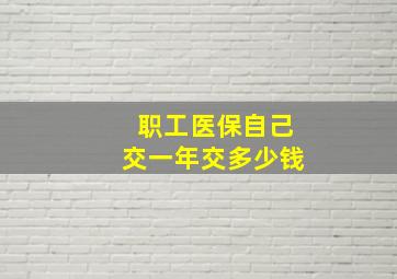 职工医保自己交一年交多少钱