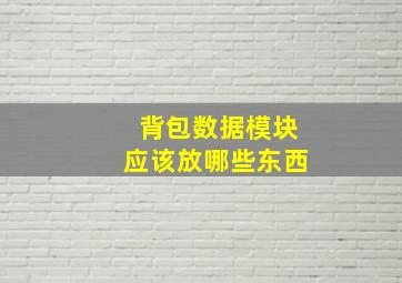 背包数据模块应该放哪些东西