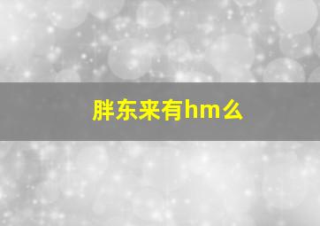 胖东来有hm么