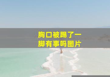 胸口被踢了一脚有事吗图片