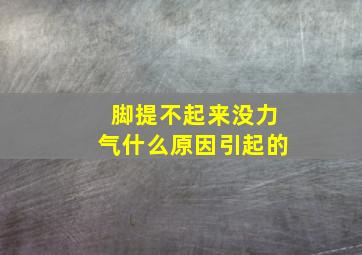 脚提不起来没力气什么原因引起的