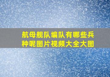 航母舰队编队有哪些兵种呢图片视频大全大图