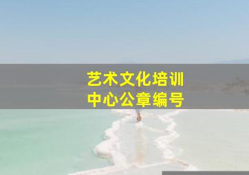 艺术文化培训中心公章编号