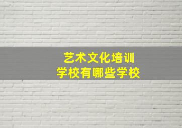 艺术文化培训学校有哪些学校