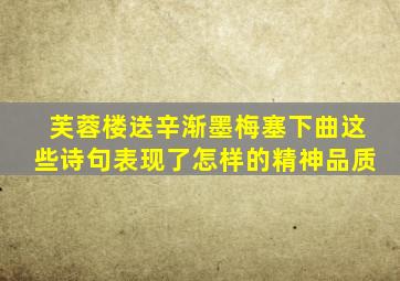 芙蓉楼送辛渐墨梅塞下曲这些诗句表现了怎样的精神品质