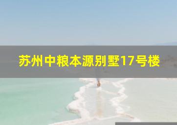 苏州中粮本源别墅17号楼