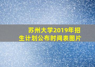 苏州大学2019年招生计划公布时间表图片