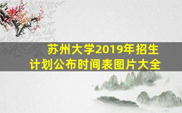 苏州大学2019年招生计划公布时间表图片大全