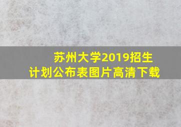 苏州大学2019招生计划公布表图片高清下载