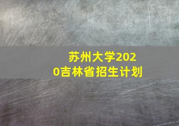 苏州大学2020吉林省招生计划