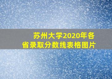 苏州大学2020年各省录取分数线表格图片