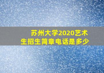 苏州大学2020艺术生招生简章电话是多少