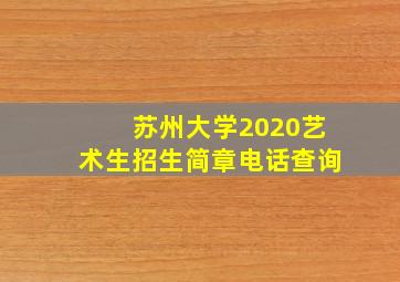 苏州大学2020艺术生招生简章电话查询