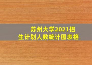 苏州大学2021招生计划人数统计图表格