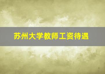 苏州大学教师工资待遇