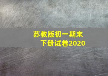 苏教版初一期末下册试卷2020