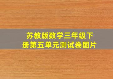 苏教版数学三年级下册第五单元测试卷图片