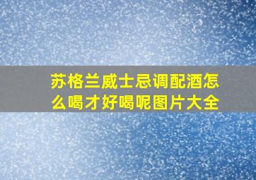 苏格兰威士忌调配酒怎么喝才好喝呢图片大全