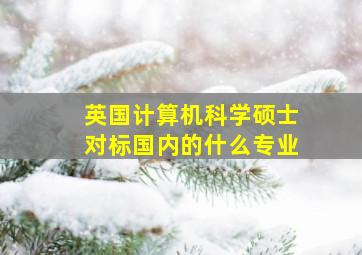 英国计算机科学硕士对标国内的什么专业