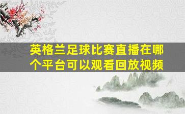 英格兰足球比赛直播在哪个平台可以观看回放视频