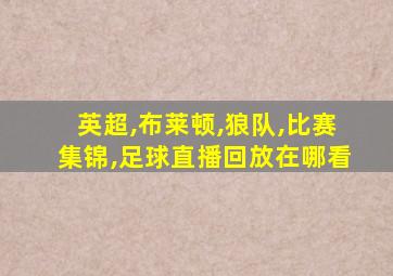 英超,布莱顿,狼队,比赛集锦,足球直播回放在哪看