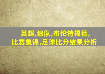 英超,狼队,布伦特福德,比赛集锦,足球比分结果分析