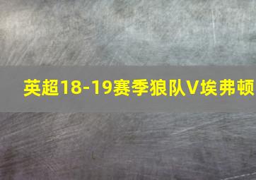 英超18-19赛季狼队V埃弗顿