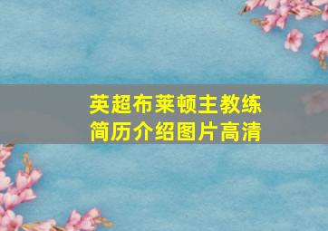 英超布莱顿主教练简历介绍图片高清