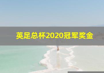 英足总杯2020冠军奖金