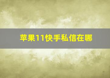 苹果11快手私信在哪