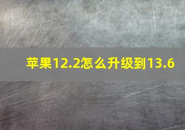 苹果12.2怎么升级到13.6