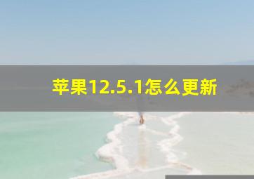 苹果12.5.1怎么更新