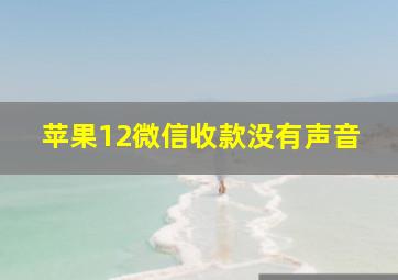 苹果12微信收款没有声音