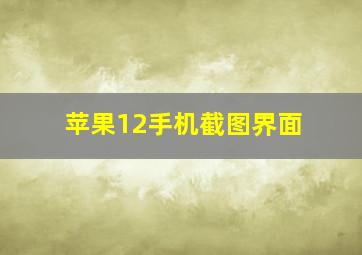 苹果12手机截图界面