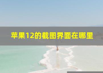 苹果12的截图界面在哪里